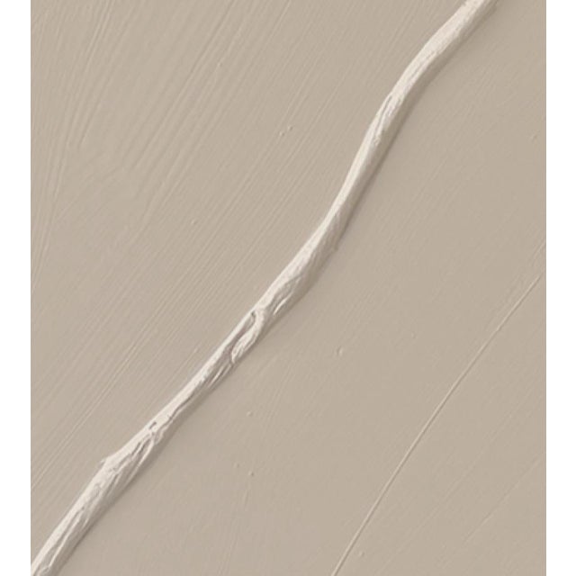 Curve I features a beautiful contrast of a matte background in a sand colored paint with a sculptural curved form in a...