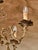 Metal Chandelier in Brass with Onyx For Sale - Image 7 of 10
