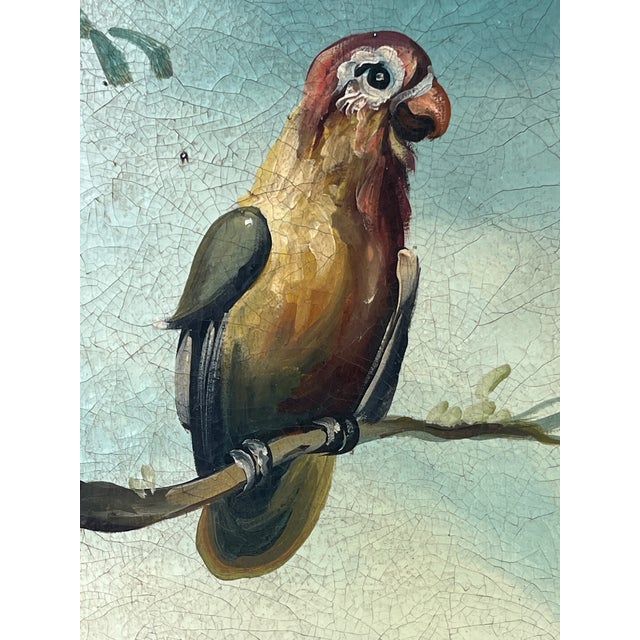 Mid-20th Century Large Ornithological Oil Painting of Songbirds by Ira Monte. For Sale - Image 9 of 12
