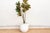 Grounded, functional, and full of coastal character, This Mykonos clay pot is a versatile mid-sized planter inspired by...