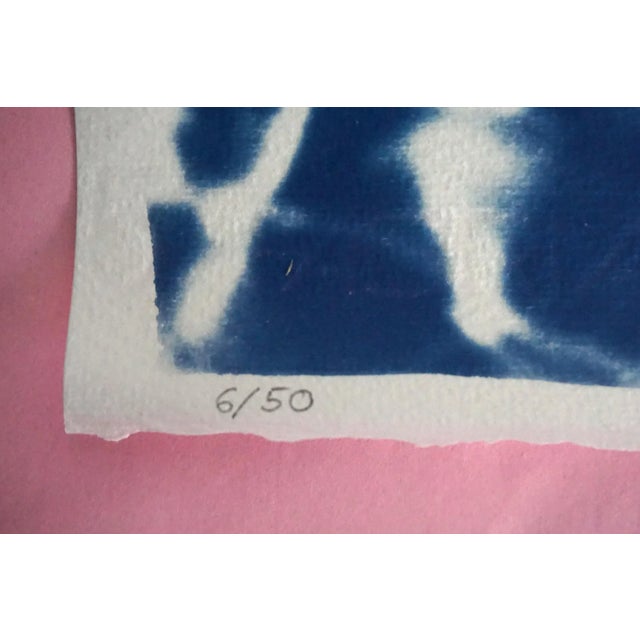 Ancient Roman Amphitheater, 100x70cm Cyanotype on Watercolor Paper, Greek Architecture Blueprint For Sale - Image 12 of 13