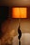 Wood Vintage Scandinavian Teak, Bakelite and Brass Floor Lamp, 1960s For Sale - Image 7 of 16