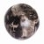Contemporary Organic Modern Petrified Wood Stool Accent Table For Sale - Image 3 of 7