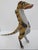 Yellow Alebrije Carved Wood MeerKat Tiger Hybrid Animal Oaxaca Mexico Folk Art Figurine For Sale - Image 8 of 12