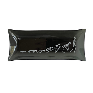 Vintage Black Smoke Glass With the Evolution of Skeletons