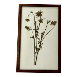 Example of Fine Art in Washington DC