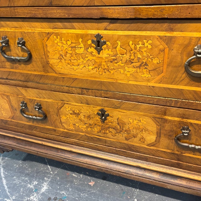 Antique Louis XIV Walnut Chest of Drawers with Boxwood Inlays, Lombardy, Late 17th Century, 1600s For Sale - Image 12 of 16