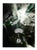 Paul Cooklin, Digital Art, Edition of 50 For Sale