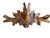 1900s Black Forest Goat Coat Rack With Glass Eyes For Sale - Image 4 of 8