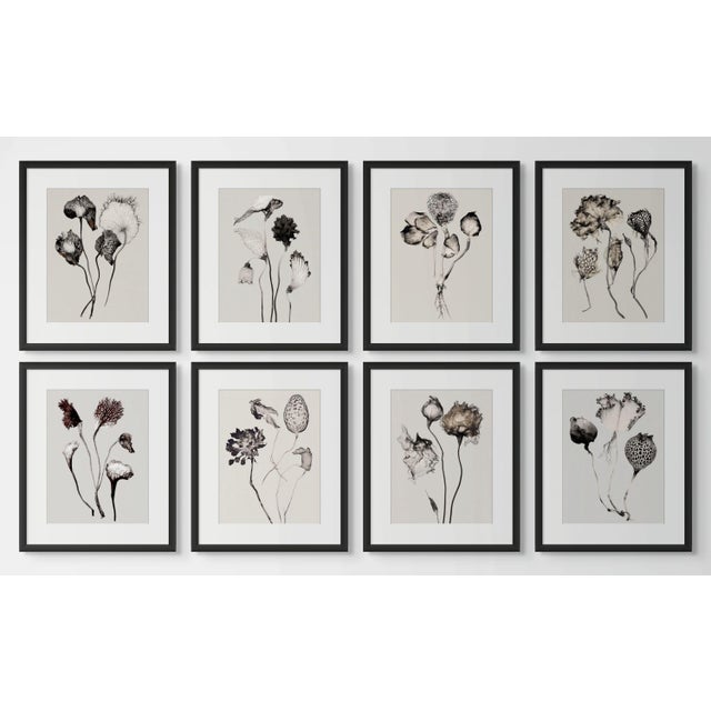 Set of 8 — “Flowers” Black & White Botanical Photography Prints | Unframed For Sale - Image 10 of 10