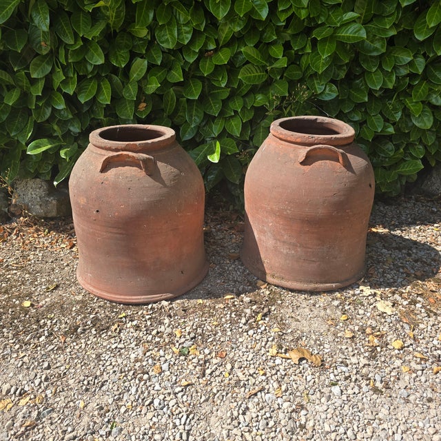 Late 19th Century Large Victorian Rhubarb Forcers, 1880, Set of 2 For Sale - Image 5 of 5