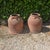 Late 19th Century Large Victorian Rhubarb Forcers, 1880, Set of 2 For Sale - Image 5 of 5