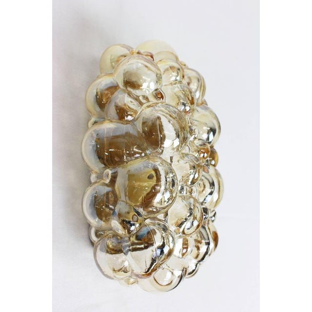 Amber Bubble Glass Sconce by Helena Tynell for Limburg, Germany, 1960s For Sale - Image 6 of 16