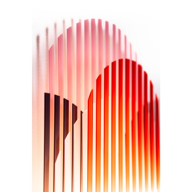 Lamina Light Yule by Tijs Gilde for Transnatural Label For Sale - Image 4 of 14