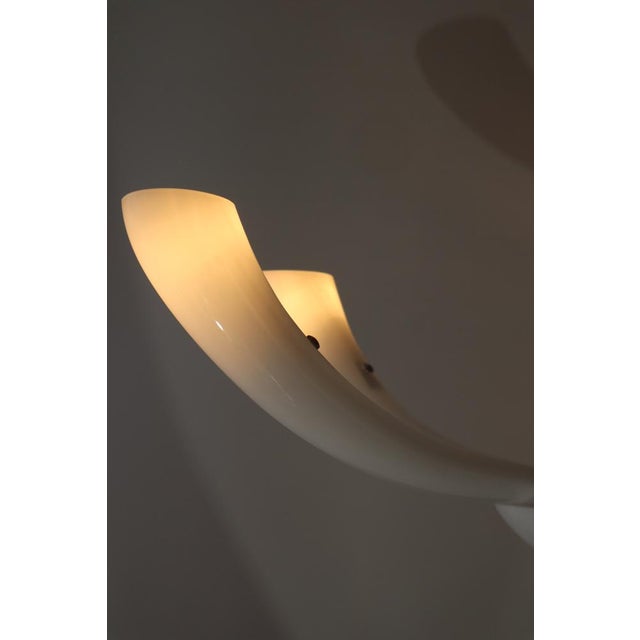 Large Murano Trumpet Chandelier from Sylcom, 1990s For Sale - Image 13 of 18