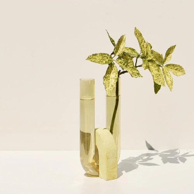 Not Yet Made - Made To Order Yellow-Yellow Cochlea Vase by Coki Barbieri For Sale - Image 5 of 6