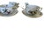 2000 - 2009 Herand Rothschild Bird Complete Set of 12 Flat Cup & Saucer Set Porcelain Ro / 724 Made in Hungary - Set of 24 For Sale - Image 5 of 6