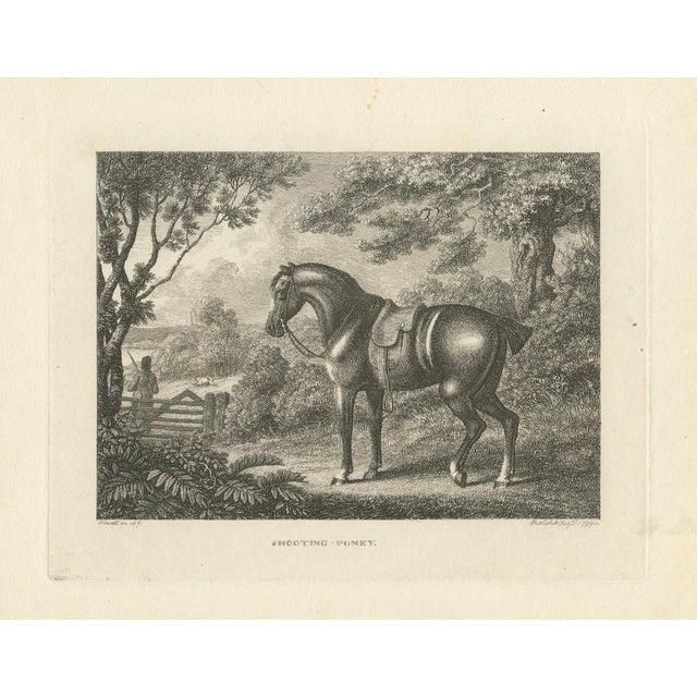 Samuel Howitt, Shooting Pony, 1799, Engraving For Sale - Image 10 of 10