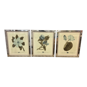 Trowbridge Gallery Imperial Flowers Original Prints, Set of Three