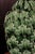 1950s Green Vase with Leaf Decoration from Manises, 1950s For Sale - Image 5 of 8