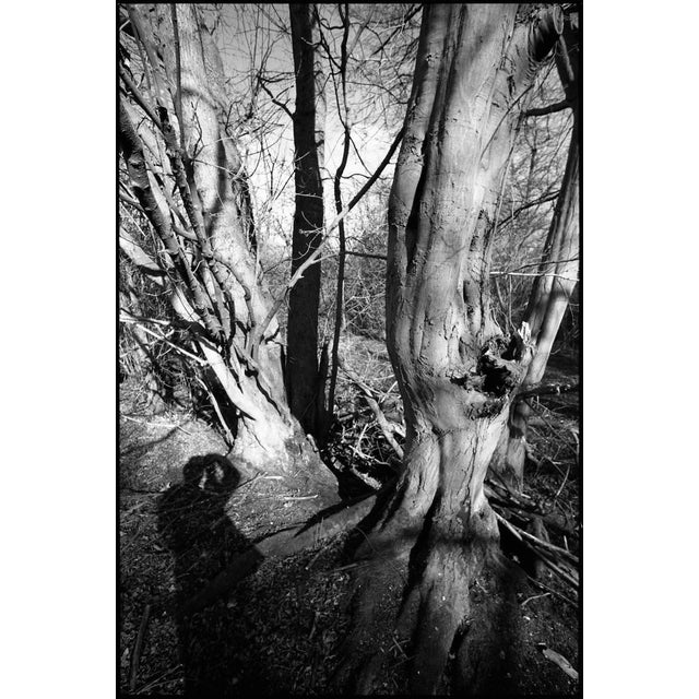 Paul Cooklin, Shadow Selfie, Edition of 50 For Sale - Image 7 of 7