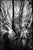 Paul Cooklin, Shadow Selfie, Edition of 50 For Sale - Image 7 of 7