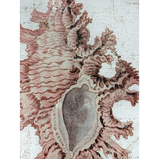 Lace Murex — Hand Textured Pink Seashell Art For Sale - Image 9 of 9