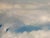 "Solo" Contemporary Seascape Oil Painting, by Jessica Fairley For Sale In Los Angeles - Image 6 of 8