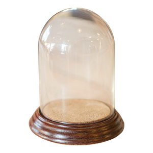 Small Antique Display Dome, English, Glass, Oak, Taxidermy, Showcase, Edwardian