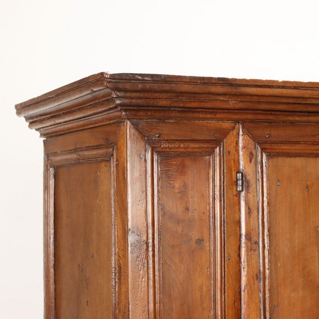 Antique Cupboard with Walnut Doors For Sale - Image 4 of 16