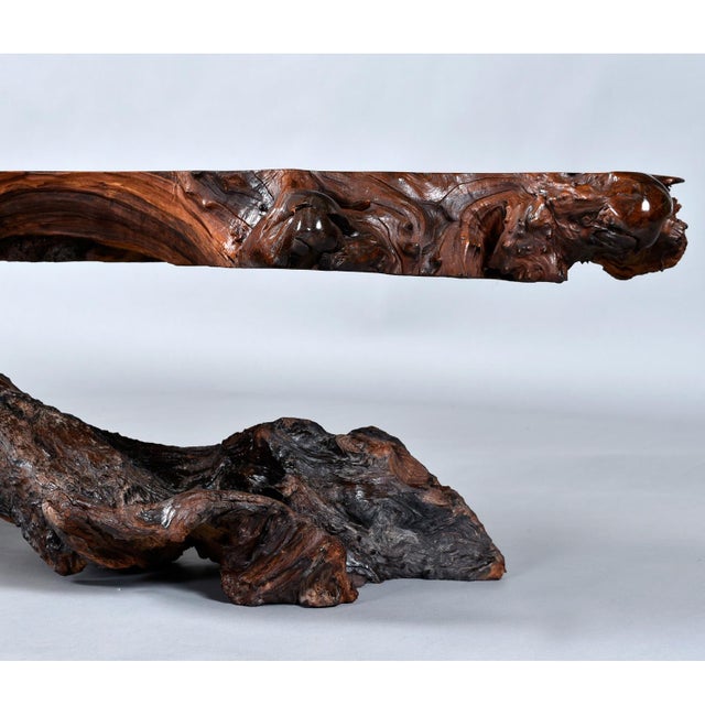 Nakashima Style Live Edge Redwood Burl Root Stump Slab Coffee Table For Sale - Image 15 of 18