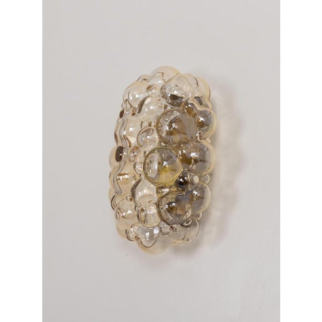 1960s Amber Bubble Glass Sconce by Helena Tynell for Limburg, Germany, 1960s For Sale - Image 5 of 16