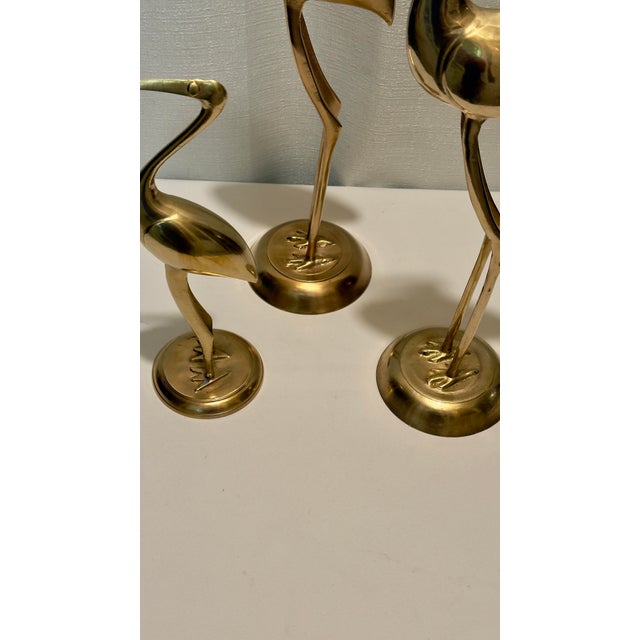 1970s Palm Beach Regency Solid Brass "Longevity" Crane Trio - Set of 3 For Sale - Image 9 of 10