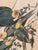 Wood Framed Audubon Carolina Parrot Reproduction in Antique Painted Frame For Sale - Image 7 of 12