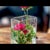 Danish Glass Vase, 1970s For Sale - Image 5 of 7