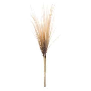 Grass Plume Bundle (Set of 2) For Sale