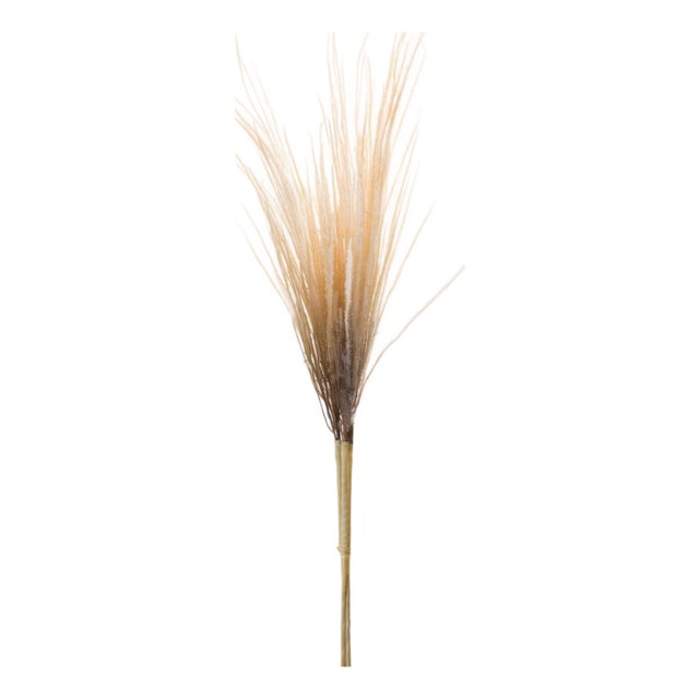 Grass Plume Bundle (Set of 2) For Sale