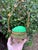 An exceptional and highly decorative antique French egg-form casket in vibrant uranium opaline glass, presented within an...