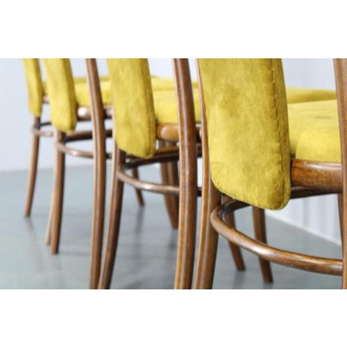 Beech Bentwood Dining Chairs attributed to Ton, Former Czechoslovakia, 1970s, Set of 4 For Sale - Image 14 of 18