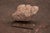 Stone Rock Large Sculpture in Jurassic Natural Rock by Nerinea For Sale - Image 7 of 11