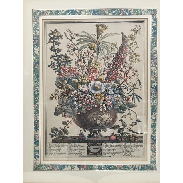 Traditional Framed Floral Art Print: December From Furber's "Twelve Months of Flowers" For Sale - Image 3 of 7