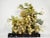 Mid-Century Handmade Green Natural Stone Grape Cluster Grapevine Bonsai Tree Style Sculpture For Sale - Image 13 of 13