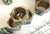 Vintage Mexican Alpaca Abalone Inlay Napkin Rings Set of 8 For Sale - Image 4 of 10