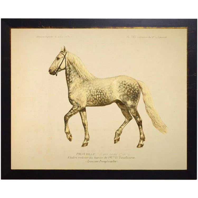 Wilbur the Horse Bookplate 26x20 Chairish