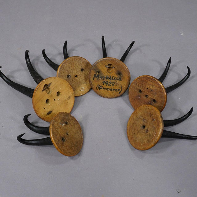 Wood Set of Six Chamois Trophies on Turned Plaques Germany Ca. 1920s For Sale - Image 7 of 7