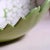 1981 Vintage Green & White Ceramic Fruit-Relief Serving Bowl With Scalloped Rim For Sale - Image 11 of 12
