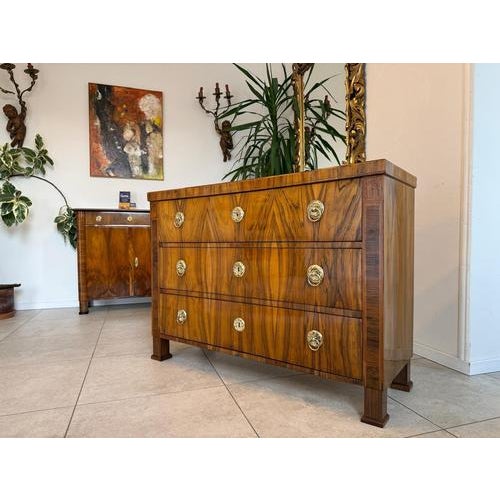 Biedermeier Chest of Drawers in Walnut For Sale - Image 3 of 15