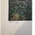 American Mid 20th Century Ruth Leaf "Feather Stars" Signed Limited Edition Color Woodcut Print 2/20 For Sale - Image 3 of 5