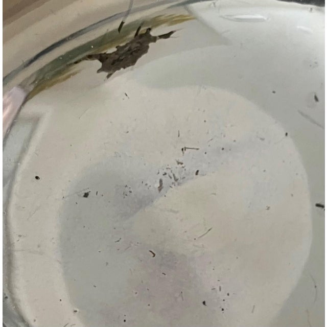 Silver Circa 1980 Elegant Diminutive Neoclassical-Style Decorative Bowl / Cachepot by f.b. Rogers For Sale - Image 8 of 15