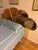 1970 Gold Mirror Headboard Style After Jayne Manfield For Sale - Image 4 of 5